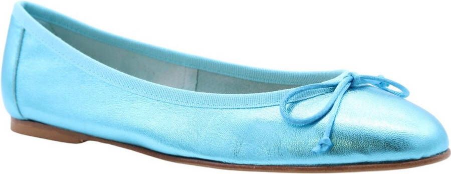 Status Stijlvolle ballerina's voor moderne vrouwen Blue Dames