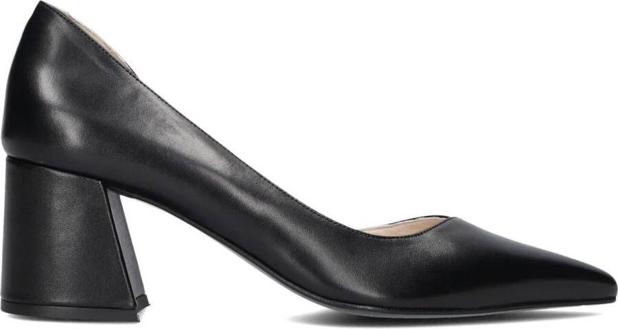 STEFANO LAURAN Pumps Dames S3252 Maat: 37 Materiaal: Leer Kleur: Zwart