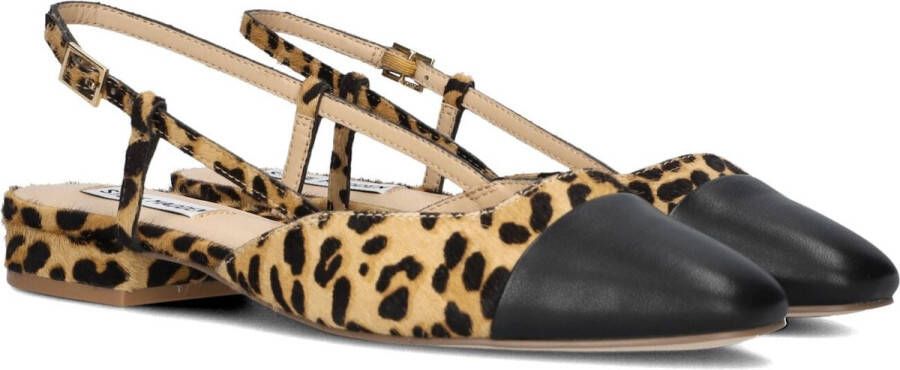 Steve Madden Belinda-l Hakken Dames Zwart