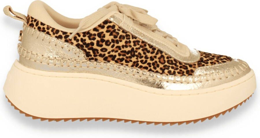 Steve Madden Dames Sneaker Doubletake Glam Leop LEOPARD