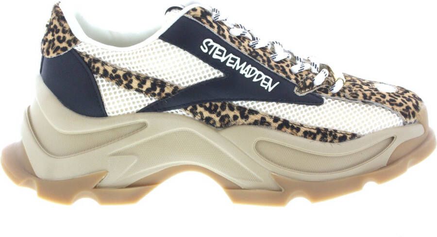 STEVE MADDEN Zoomz-L leopard multi Beige Mesh Lage sneakers Dames