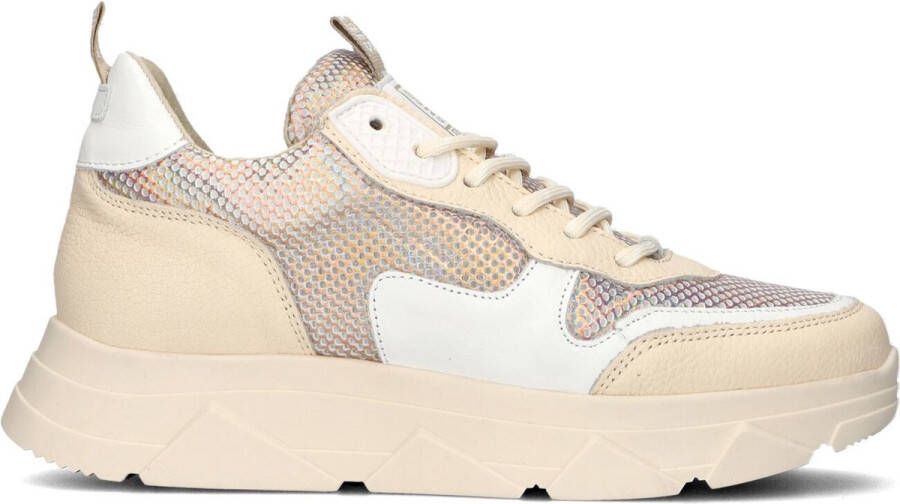 STEVE MADDEN Pitty | bone gold Beige Mesh Lage sneakers Dames