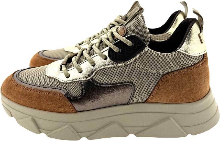 Steve Madden Pitty sneaker bruin combi