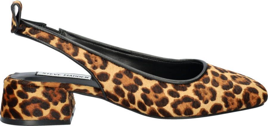 Steve Madden Smitten Leopard dames pump Bruin multi