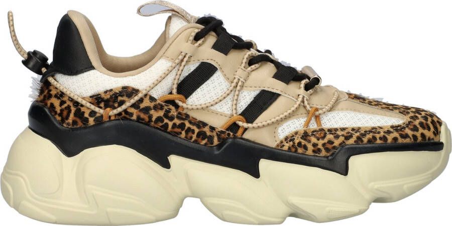 Steve Madden Low-Top Sneakers Dames Sneaker in bruin