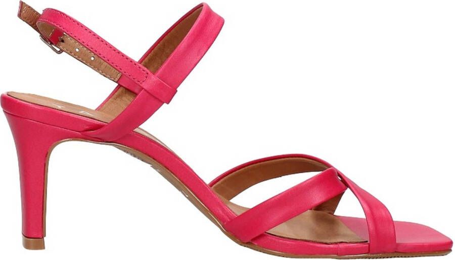 Tango Ava 6 Sandalen Dames Roze