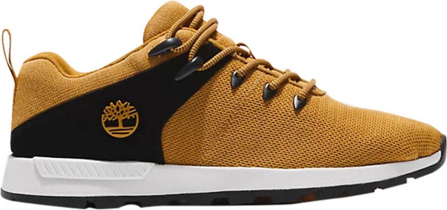 Timberland Sneakers Mannen