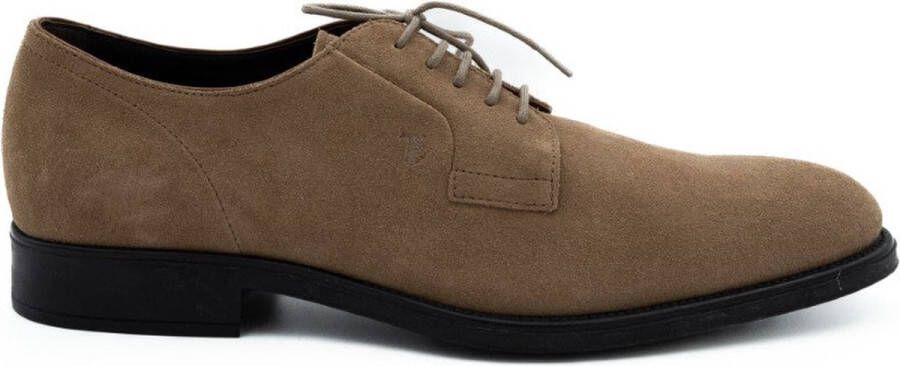 Tod's Lace-Up Shoes Bruin