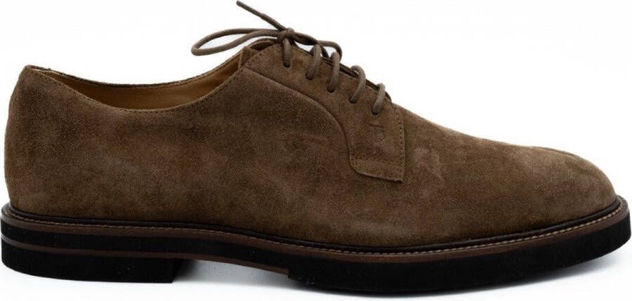 Tod's Lace-Up Shoes Bruin