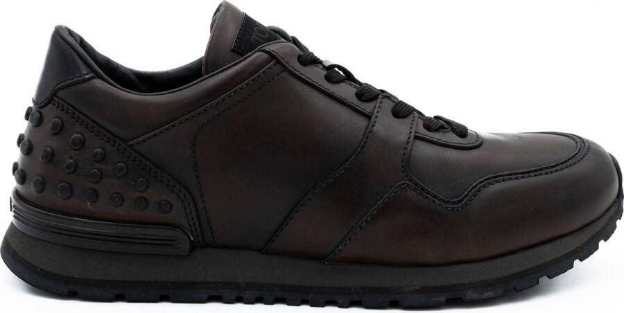 Tod's Sneakers Bruin