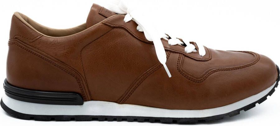 Tod's Sneakers Bruin