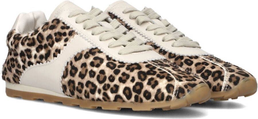 TORAL Lage Sneakers Dames Vinci Maat: 41 Materiaal: Leer Kleur: Bruin