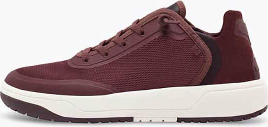 TROPICFEEL Dune Sneakers Chocolate Red Heren