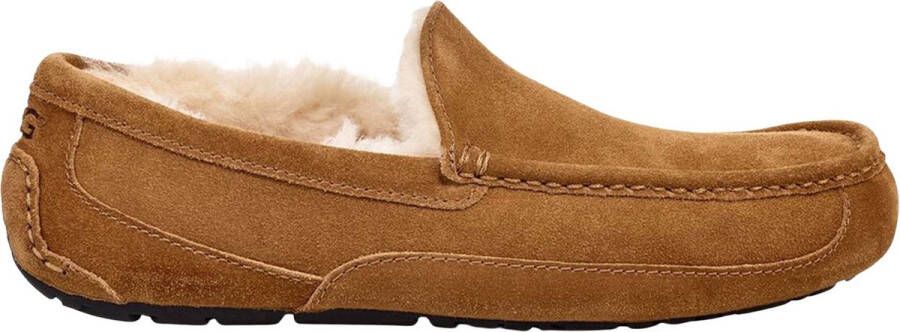 UGG Ascot Heren Slippers Chestnut