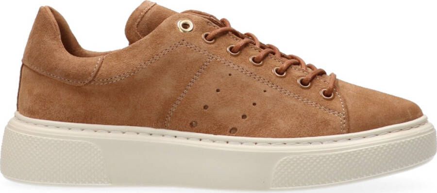 VanDalen Van Dalen ALEX LEATHER SNEAKER Camel