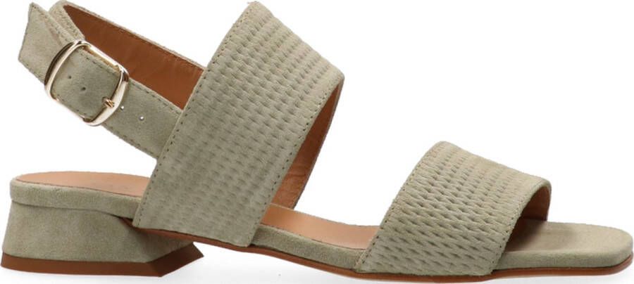 VanDalen Van Dalen PEPLY ST SANDAL Green