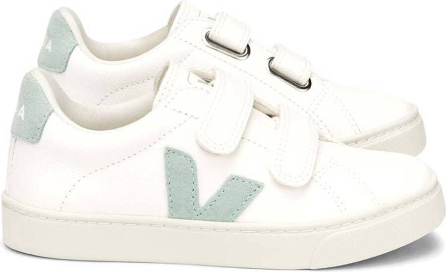 Veja Esplar sneaker van leer met suède details