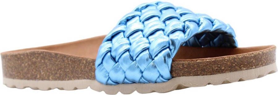 Verbenas Slipper Aqua