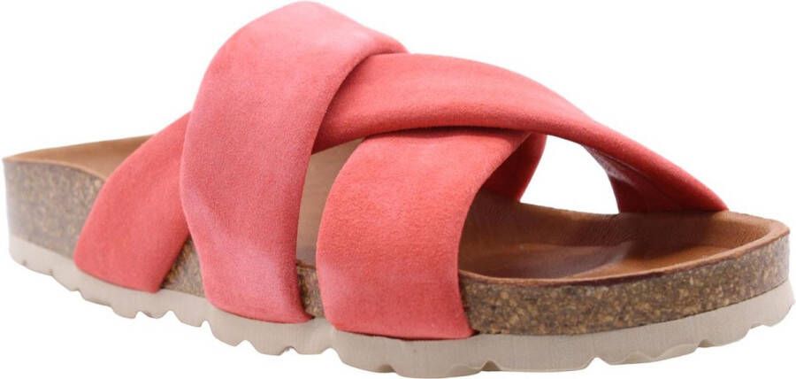 Verbenas Slipper Rood