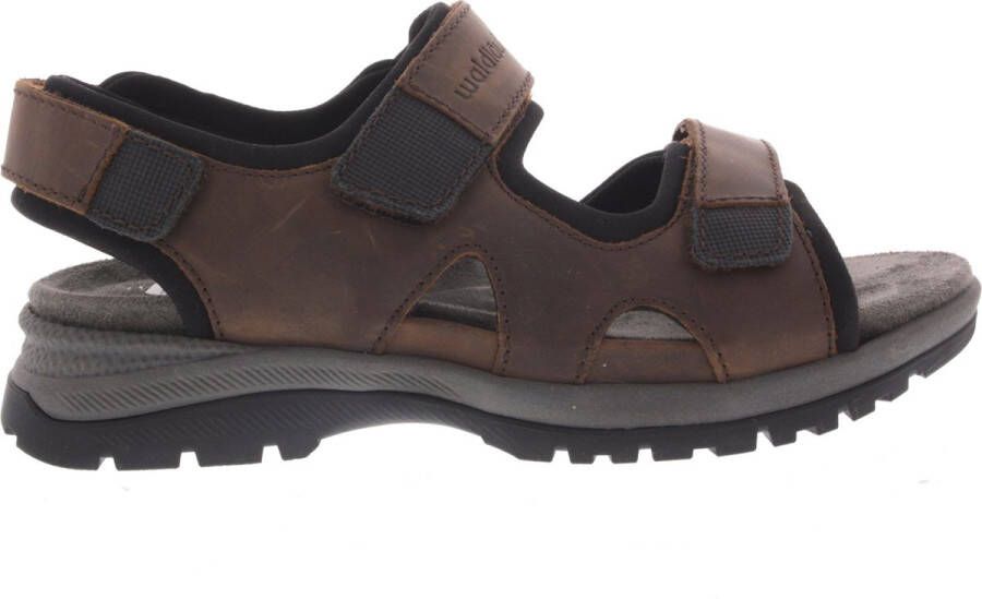 Waldläufer WALDLAUFER HEREN SANDALEN BRUIN 746002 200 838 H-TARO CRAZY HORSE TABAK SCHWARZ