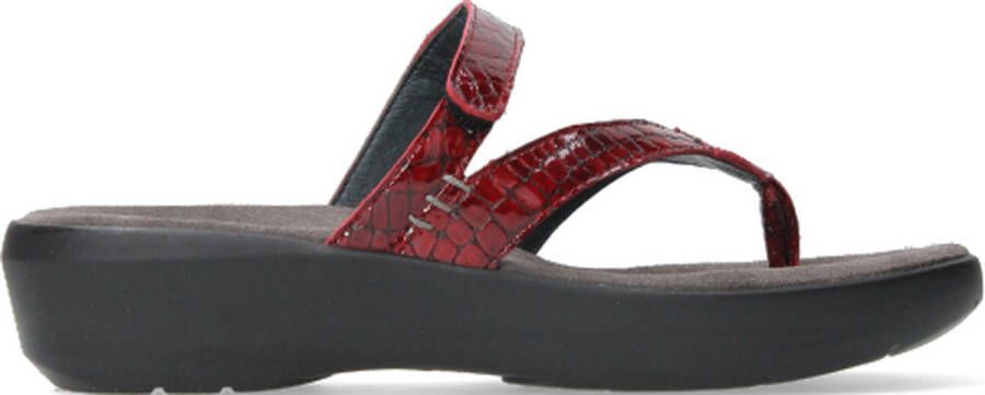 Wolky Slippers Bassa rood crocolook lakleer