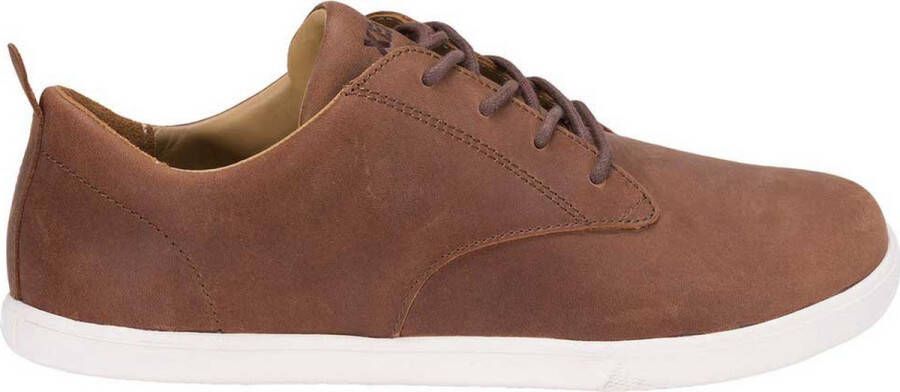 XERO SHOES Glenn Sneakers Bruin 1 2 Man