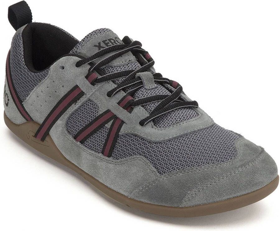 XERO SHOES Prio Hardloopschoenen Suede Steel Gray Heren