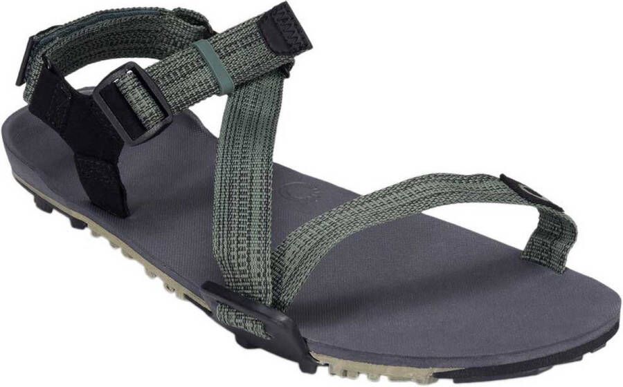 XERO SHOES Z-Trail EV Sandalen Vetiver Green Heren