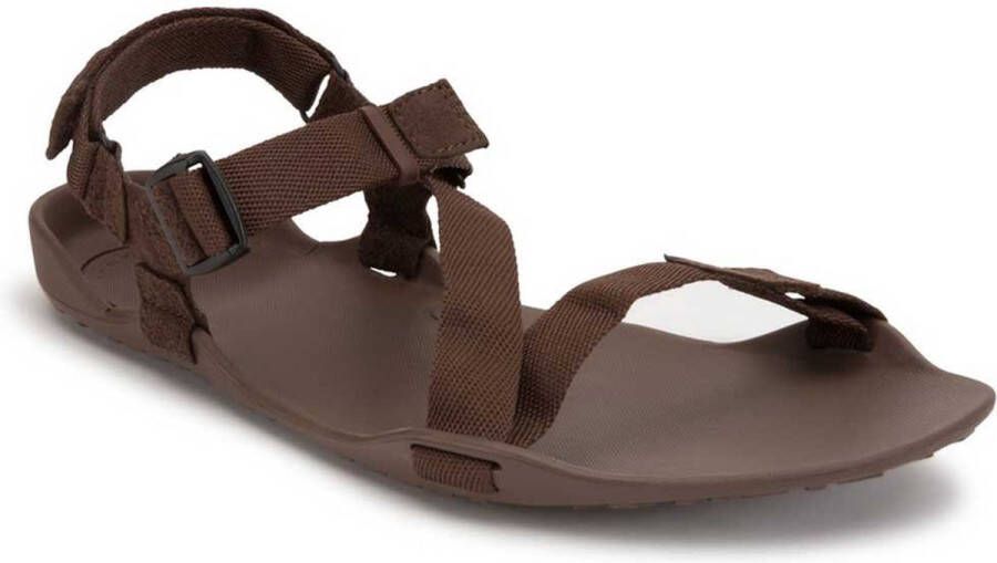 XERO SHOES Z-Trek II Sandalen Brown Heren