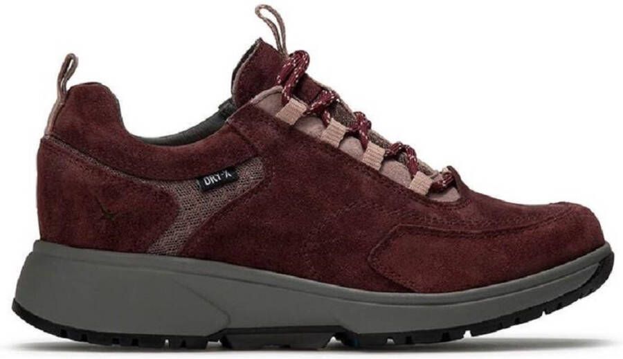 Xsensible 40203.5 726 Burgundy H-wijdte Veterschoenen