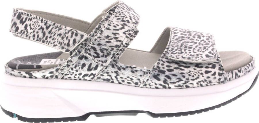 Xsensible Aruba Platte Sandalen Zilver Leer Dierenprint Gray Dames