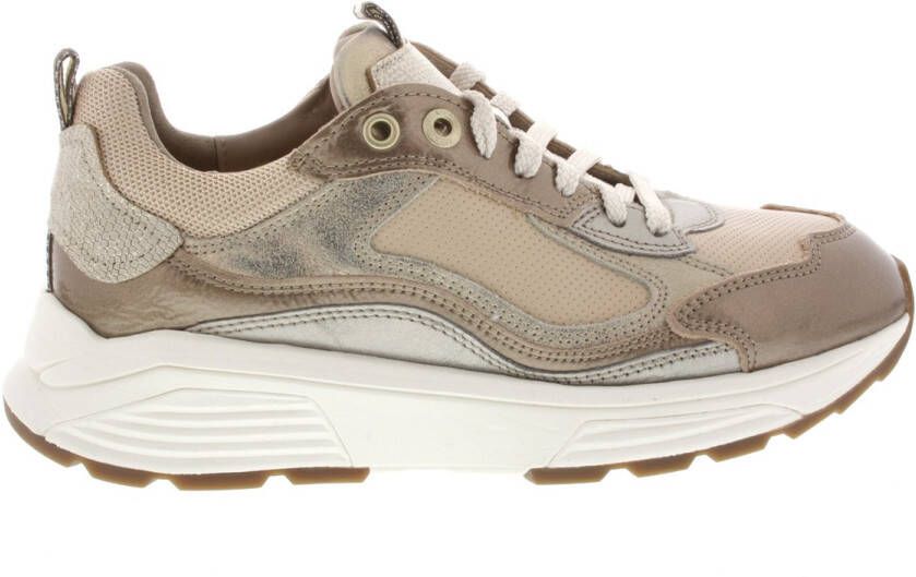 XSENSIBLE Lage Sneakers Dames Milau Maat: 36 Materiaal: Leer Kleur: Taupe