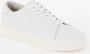 Calvin Klein Eenvoudige Vetersneakers White Heren - Thumbnail 2