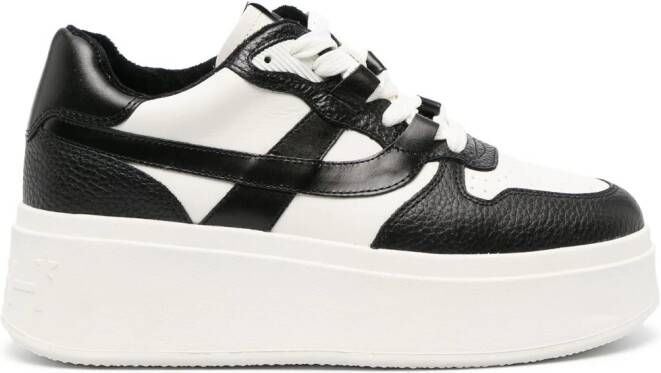 Ash Match sneakers met plateauzool Wit