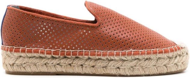 Blue Bird Shoes Geperforeerde espadrilles Bruin