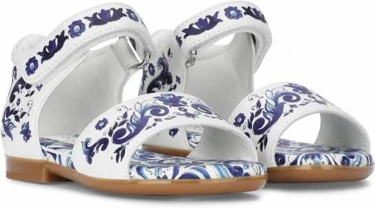 Dolce & Gabbana Kids Leren sandalen met Majolica-print Wit