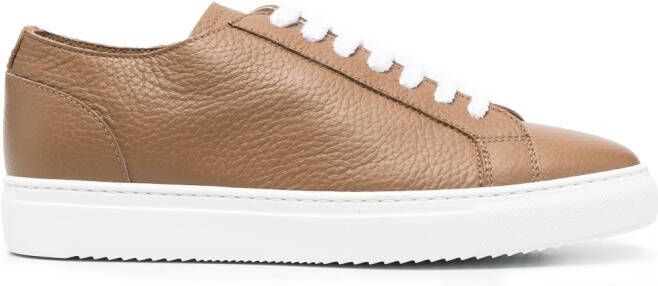 Doucal's Low-top sneakers Bruin