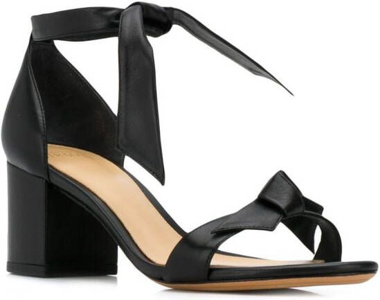 Alexandre Birman sandalen met blokhak Zwart