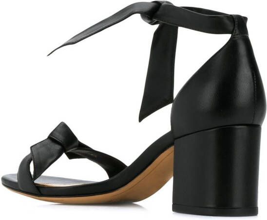 Alexandre Birman sandalen met blokhak Zwart