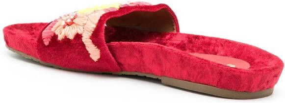 Amir Slama Fluwelen slippers Rood