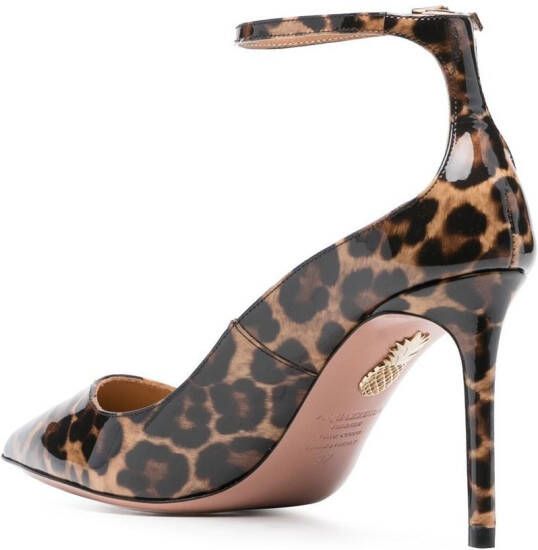 Aquazzura Pumps met luipaardprint Bruin