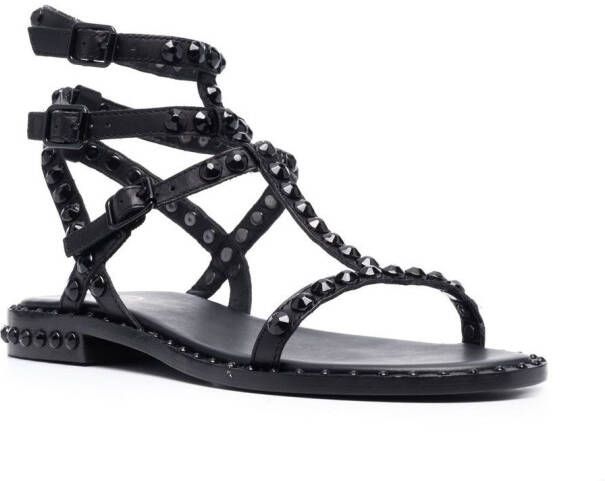 Ash Leren sandalen Zwart