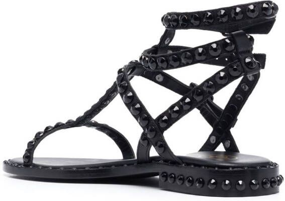 Ash Leren sandalen Zwart