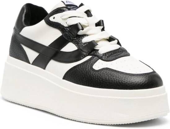 Ash Match sneakers met plateauzool Wit