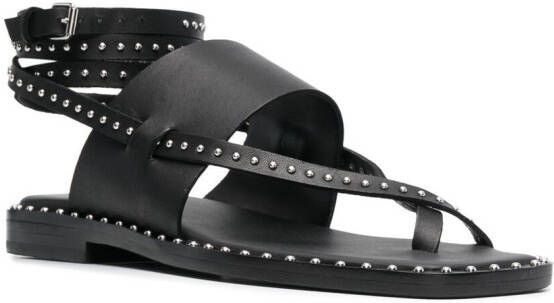 Ash Medusa leren sandalen Zwart