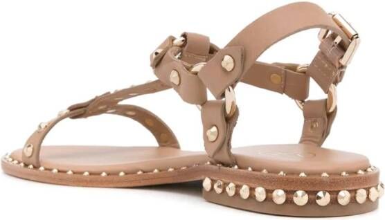 Ash Patsy sandalen met studs Beige