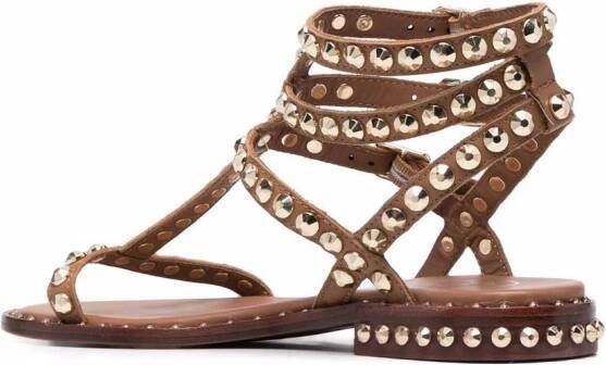 Ash Sandalen verfraaid met rockstud Bruin