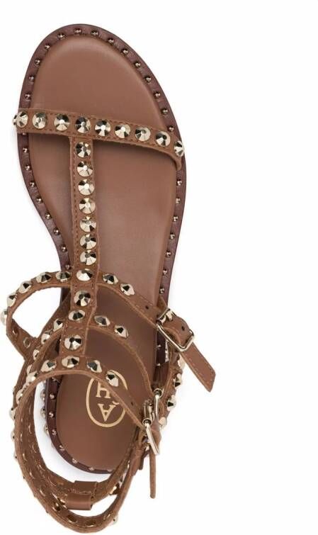 Ash Sandalen verfraaid met rockstud Bruin