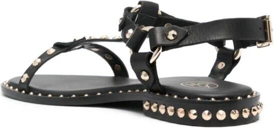 Ash Sandalen verfraaid met studs Zwart