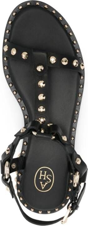 Ash Sandalen verfraaid met studs Zwart